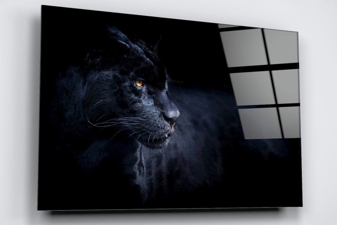 Black Panther Acrylic Glass Print Tempered Glass Wall Art 100% Made in Australia Ready to Hang