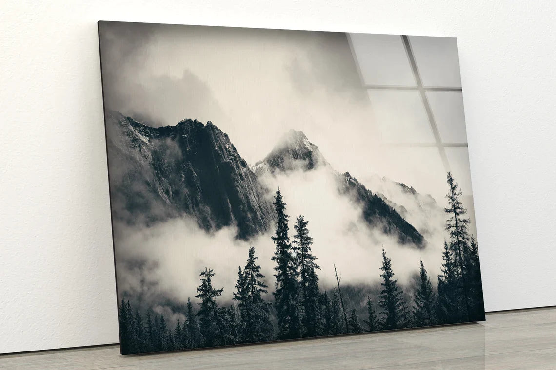 Misty Forest & Mountain UV Direct Aluminum Print Australian Made Quality