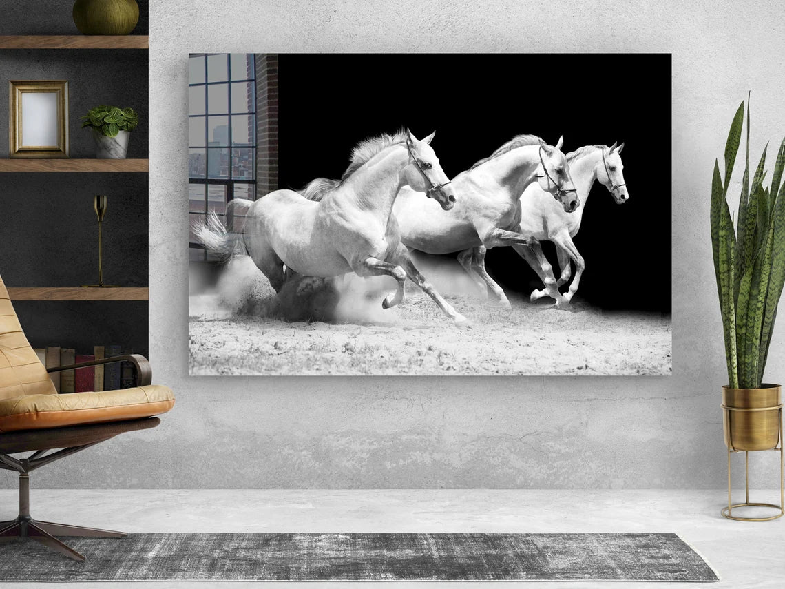 Running Horses B&W View UV Direct Aluminum Print Australian Made Quality