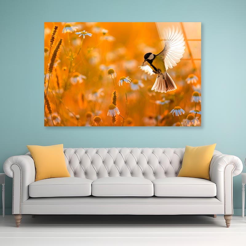 Little Bird Yellow Tit Flies Over a Field  Acrylic Glass Print Tempered Glass Wall Art 100% Made in Australia Ready to Hang