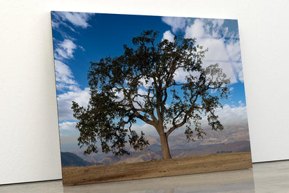 Lone Oak Tree with Clouds in California Acrylic Glass Print Tempered Glass Wall Art 100% Made in Australia Ready to Hang