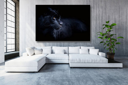 Black Panther Acrylic Glass Print Tempered Glass Wall Art 100% Made in Australia Ready to Hang