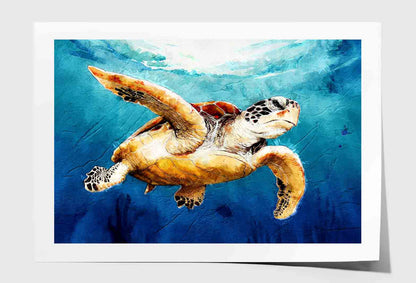 Sea Turtle Floats Watercolor Drawing Wall Art Limited Edition High Quality Print