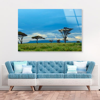 National Park with Mountains Africa Acrylic Glass Print Tempered Glass Wall Art 100% Made in Australia Ready to Hang