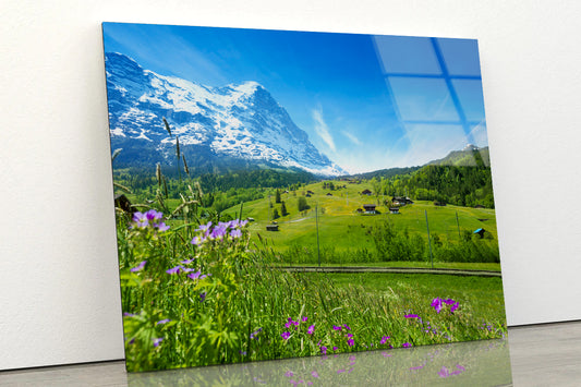 Blooming Flowers with Beautiful Sky & Mountains Acrylic Glass Print Tempered Glass Wall Art 100% Made in Australia Ready to Hang