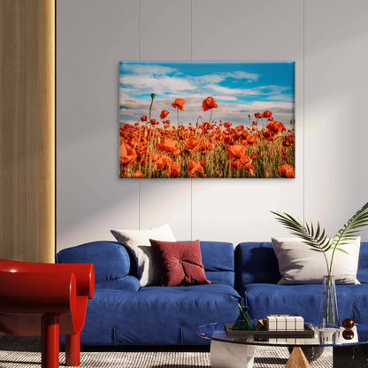 Remember for Anzac Historic war memory Poppy Field Australia Wall Art Decor 100% Australian Made