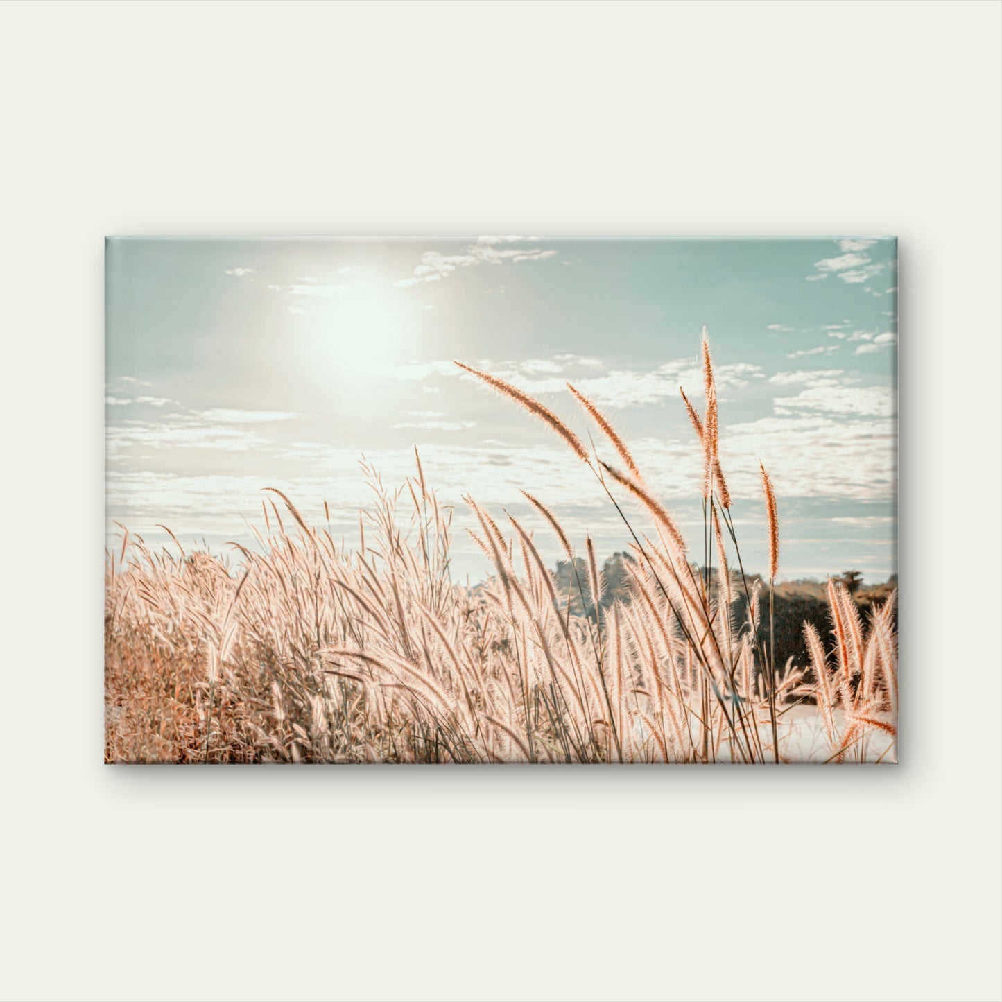 Soft Aesthetic Boho Pampas Grass with Golden Sunset Wall Art Decor 100% Australian Made