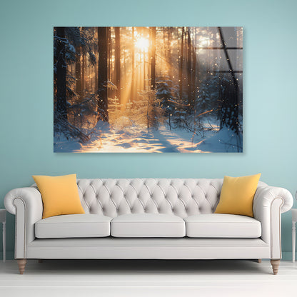 Snowy Forest with Trees through Sunlight Acrylic Glass Print Tempered Glass Wall Art 100% Made in Australia Ready to Hang