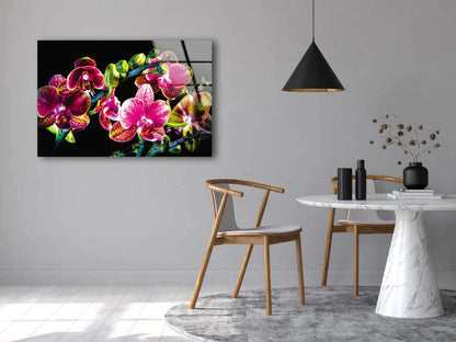 Colorful Orchid Flowers UV Direct Aluminum Print Australian Made Quality