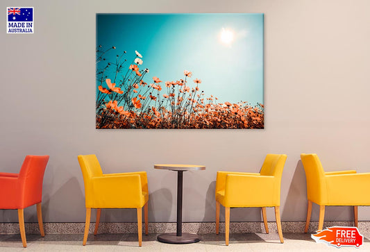 Cosmos Flower Field On Sky Spring Print 100% Australian Made