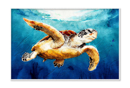 Sea Turtle Floats Watercolor Drawing Wall Art Limited Edition High Quality Print