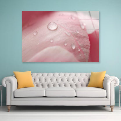 Pink Flower With Water Drops Acrylic Glass Print Tempered Glass Wall Art 100% Made in Australia Ready to Hang