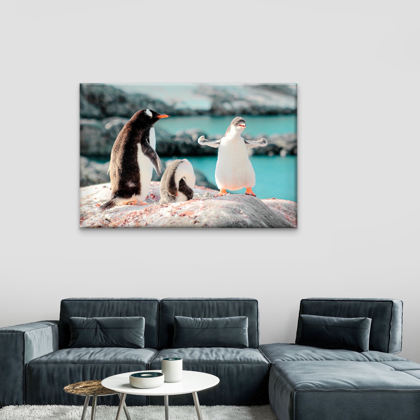 Cute Gentoo Baby Penguins on Rocks Black and White Birds  Wall Art Decor 100% Australian Made
