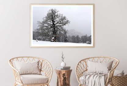 Oak Tree with Forest Scenery Home Decor Premium Quality Poster Print Choose Your Sizes