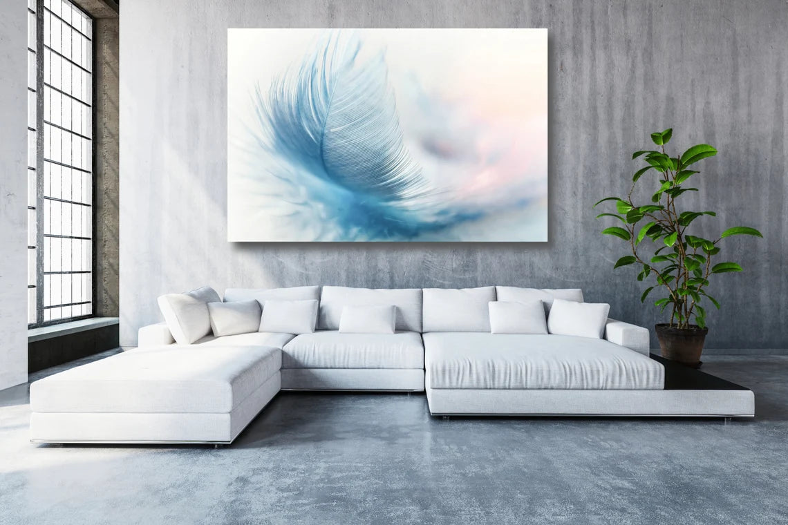 Feather Wall Art UV Direct Aluminum Print Australian Made Quality