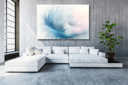 Feather Wall Art UV Direct Aluminum Print Australian Made Quality