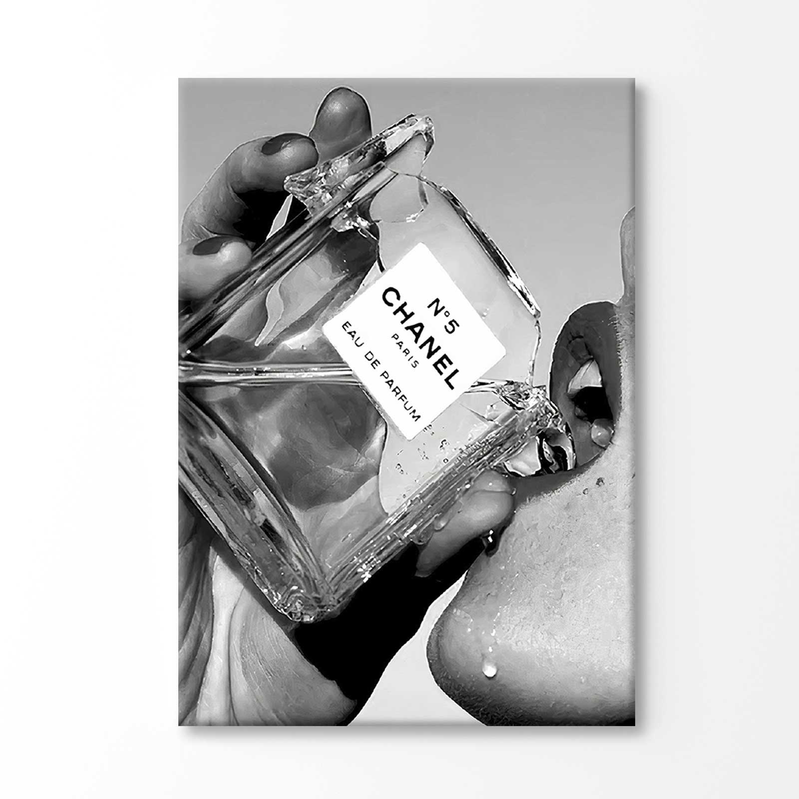 Bella Home Black And White Drinking Fashion Bottle Print Canvas Ready to hang