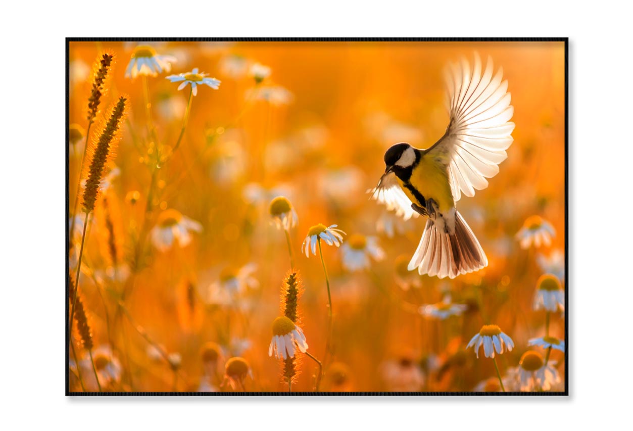 Little Bird Yellow Tit Flies Over a Field Home Decor Premium Quality Poster Print Choose Your Sizes