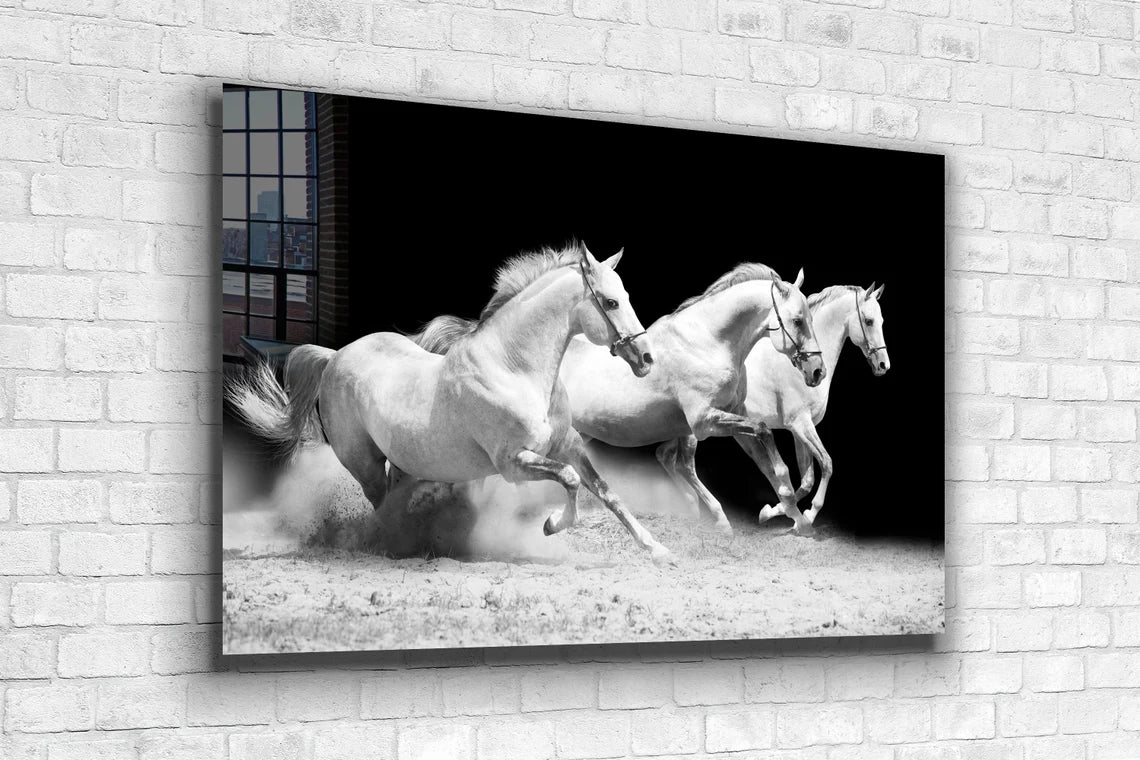 Running Horses B&W View UV Direct Aluminum Print Australian Made Quality