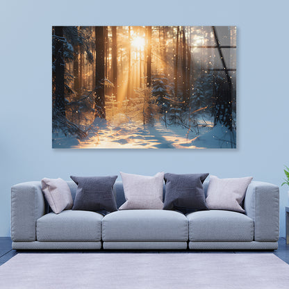 Snowy Forest with Trees through Sunlight Acrylic Glass Print Tempered Glass Wall Art 100% Made in Australia Ready to Hang