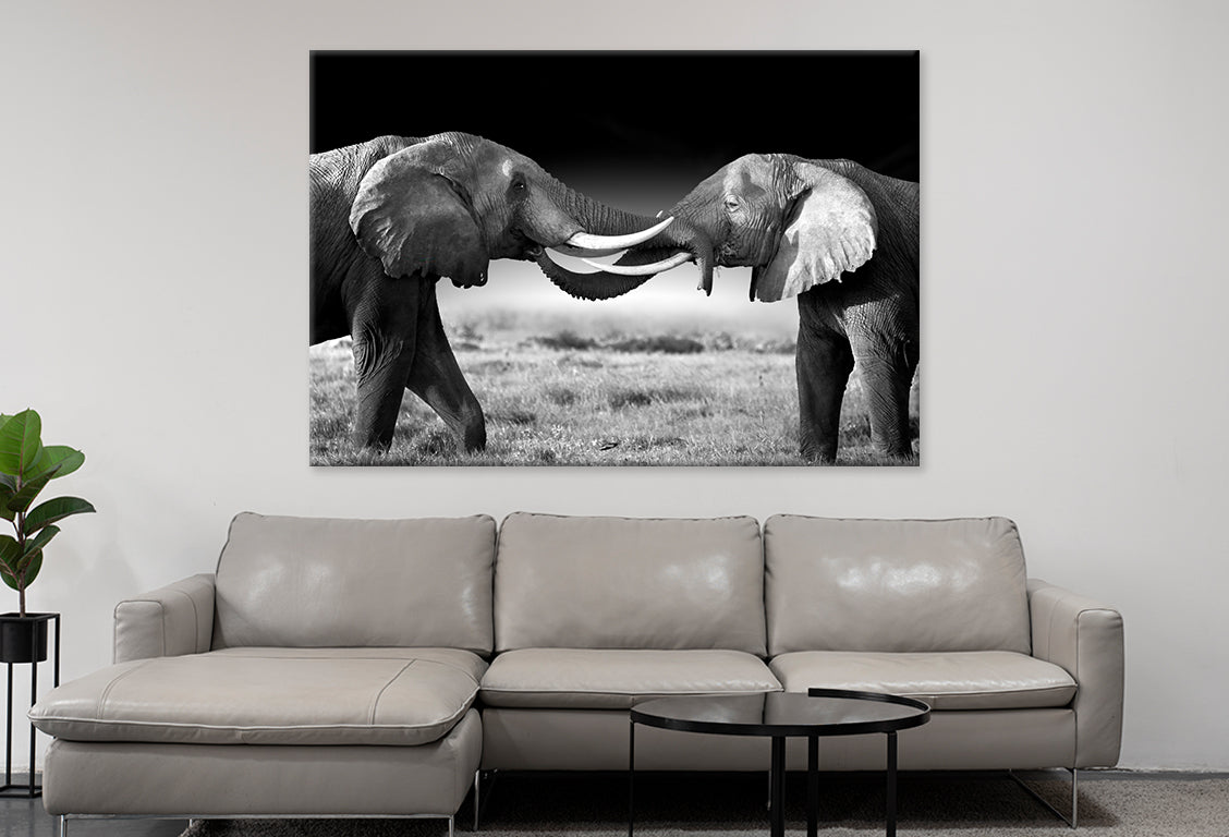 Elephants Touching Trunks Kenya Wall Art Decor 100% Australian Made
