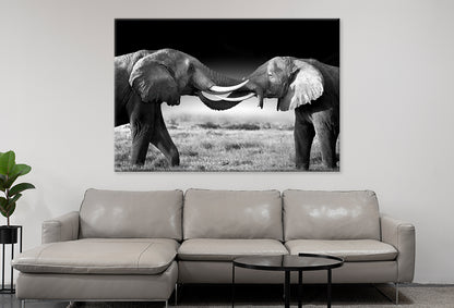 Elephants Touching Trunks Kenya Wall Art Decor 100% Australian Made