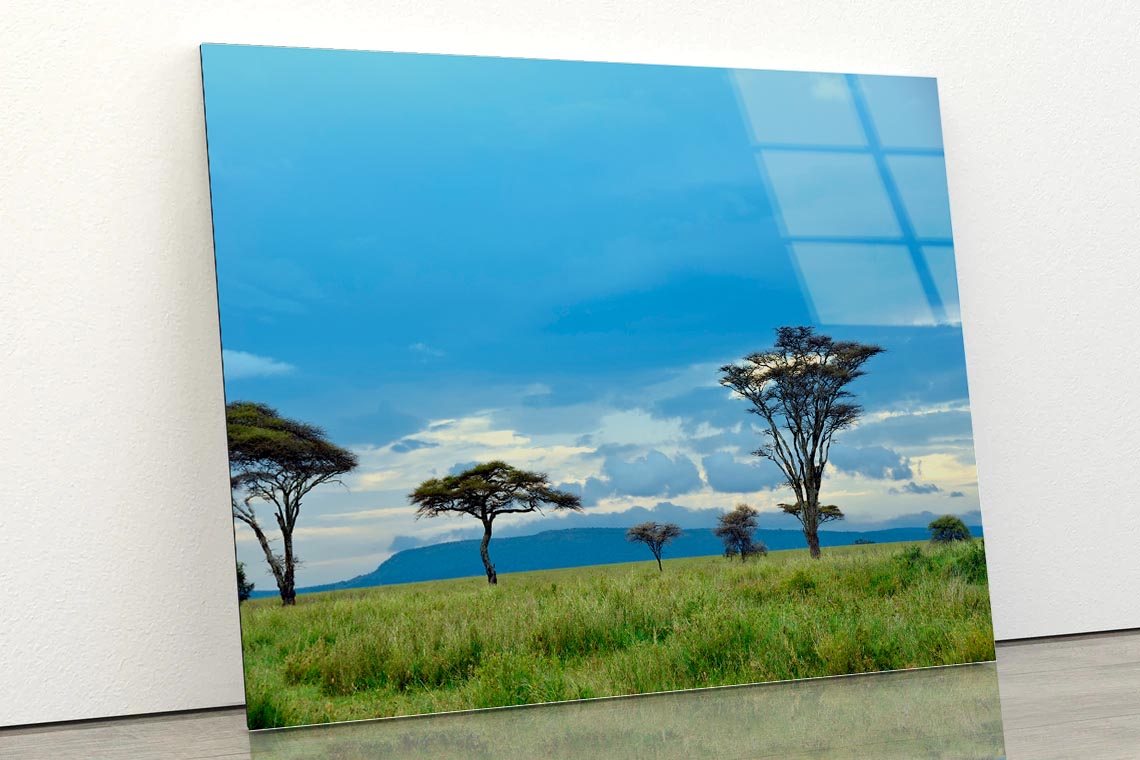 National Park with Mountains Africa Acrylic Glass Print Tempered Glass Wall Art 100% Made in Australia Ready to Hang