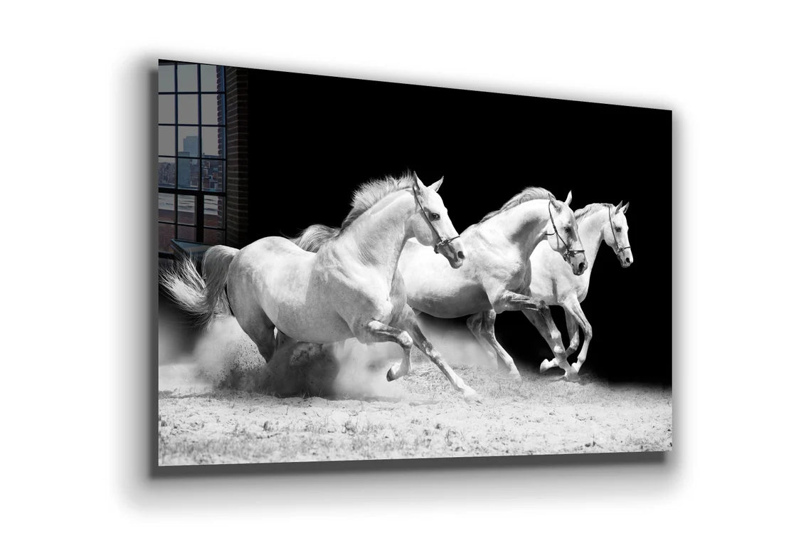 Running Horses B&W View UV Direct Aluminum Print Australian Made Quality