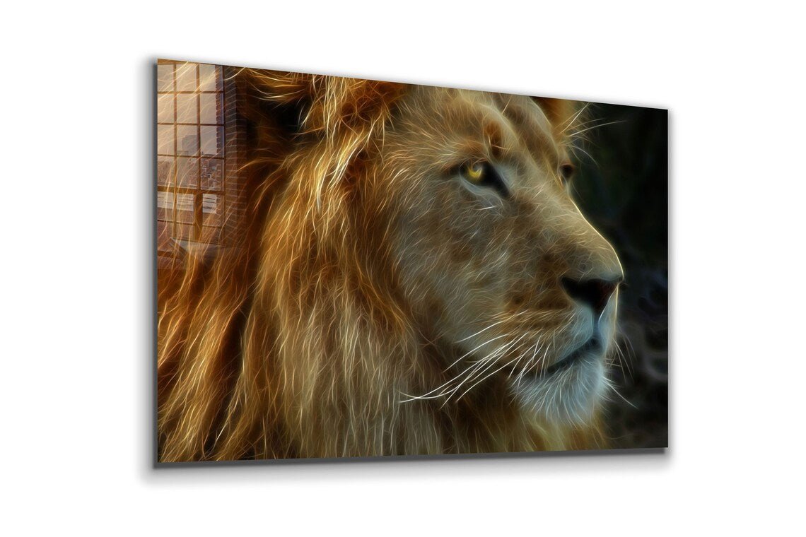 Lion Face Side View UV Direct Aluminum Print Australian Made Quality