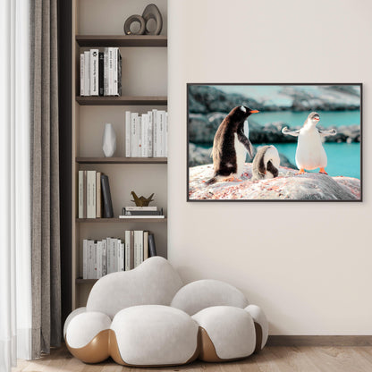 Cute Gentoo Baby Penguins on Rocks Black and White Birds  Wall Art Decor 100% Australian Made