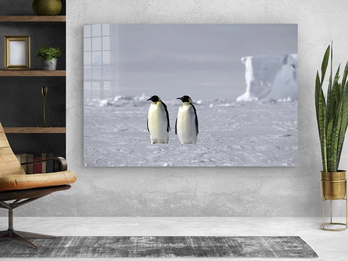 Penguins on Ice Field UV Direct Aluminum Print Australian Made Quality