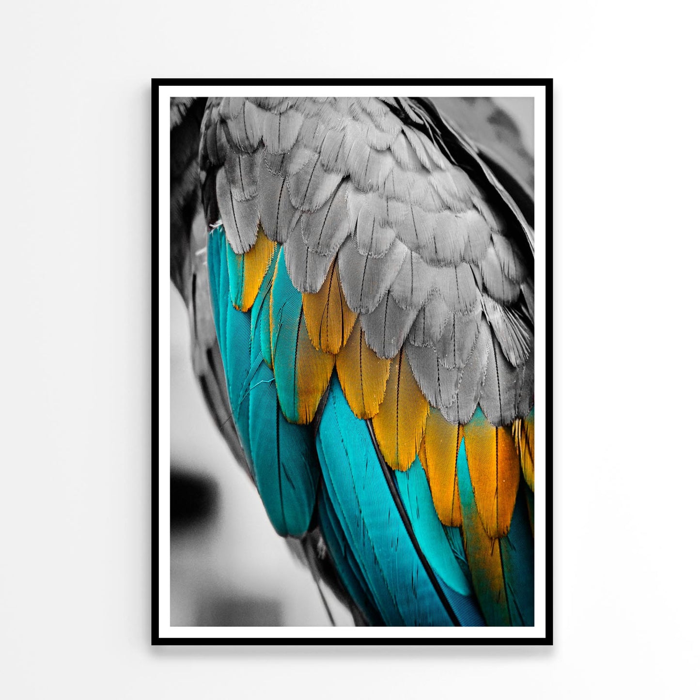 Close-Up Feather Design Home Decor Premium Quality Poster Print Choose Your Sizes