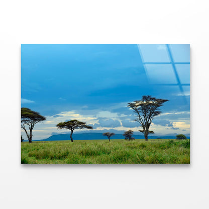 National Park with Mountains Africa Acrylic Glass Print Tempered Glass Wall Art 100% Made in Australia Ready to Hang