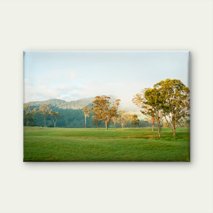 Australian Gum Trees Field Hills Wall Art Decor 100% Australian Made