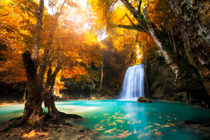 Deep Forest Waterfall in Kanchanaburi, Thailand Home Decor Premium Quality Poster Print Choose Your Sizes