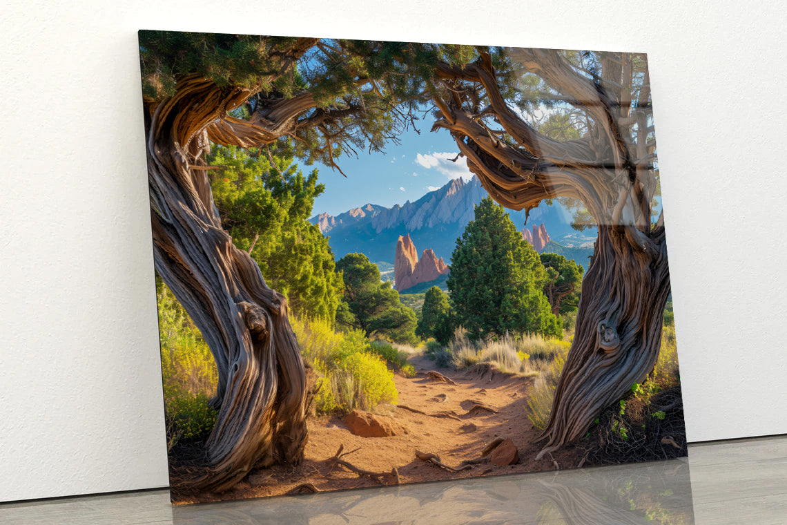 Trees with Mountains Acrylic Glass Print Tempered Glass Wall Art 100% Made in Australia Ready to Hang