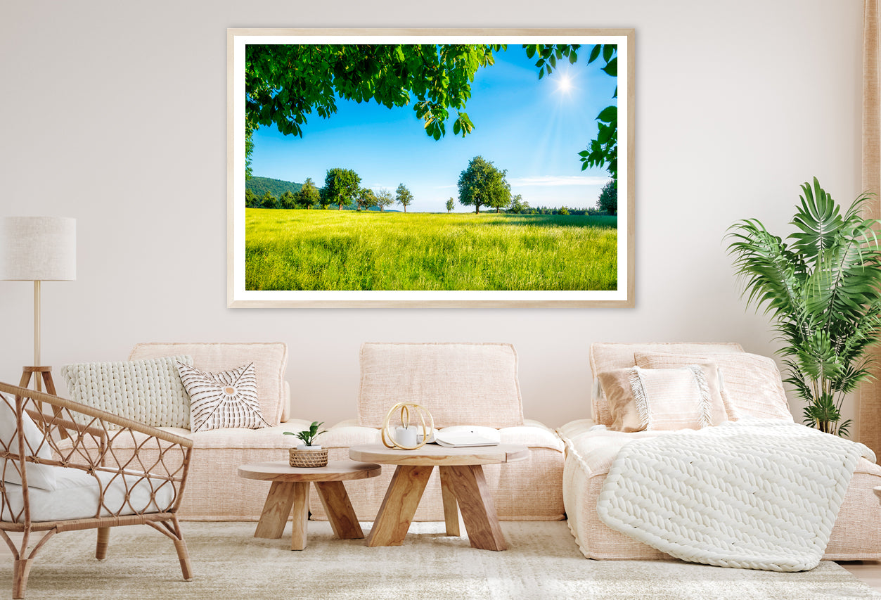 Green Meadow with Fruit Trees in the Sunshine Home Decor Premium Quality Poster Print Choose Your Sizes