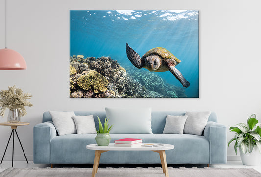 Ningaloo Reef Western Australia Sea Turtle Wall Art Decor 100% Australian Made