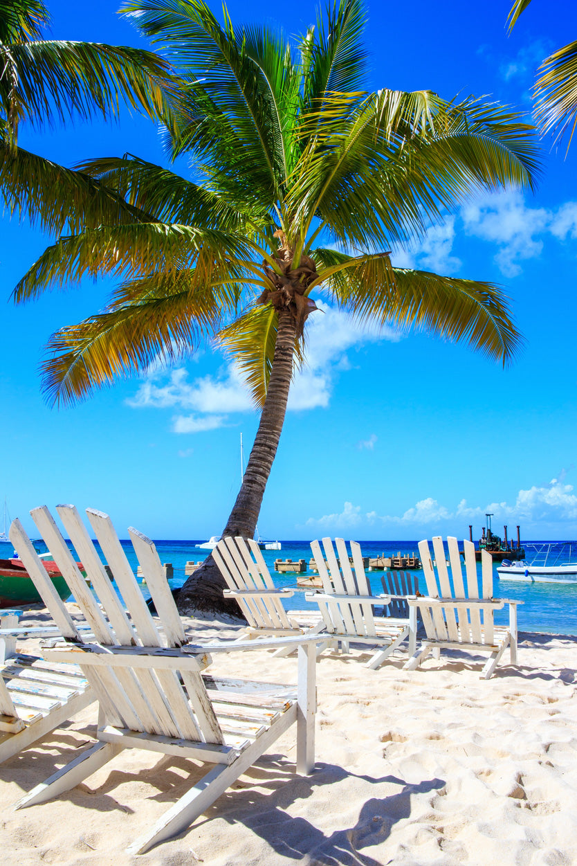 Palm Tree & Beach Chairs on Saona Island View Glass Framed Wall Art, Ready to Hang Quality Print