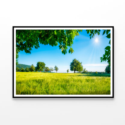 Green Meadow with Fruit Trees in the Sunshine Home Decor Premium Quality Poster Print Choose Your Sizes