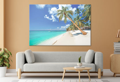 Palm and Tropical Beach in Dominican Republic Print 100% Australian Made