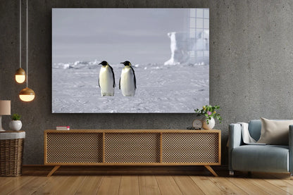 Penguins on Ice Field UV Direct Aluminum Print Australian Made Quality