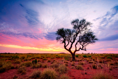 Australian Outback Sunset Desert Wall Art Decor 100% Australian Made