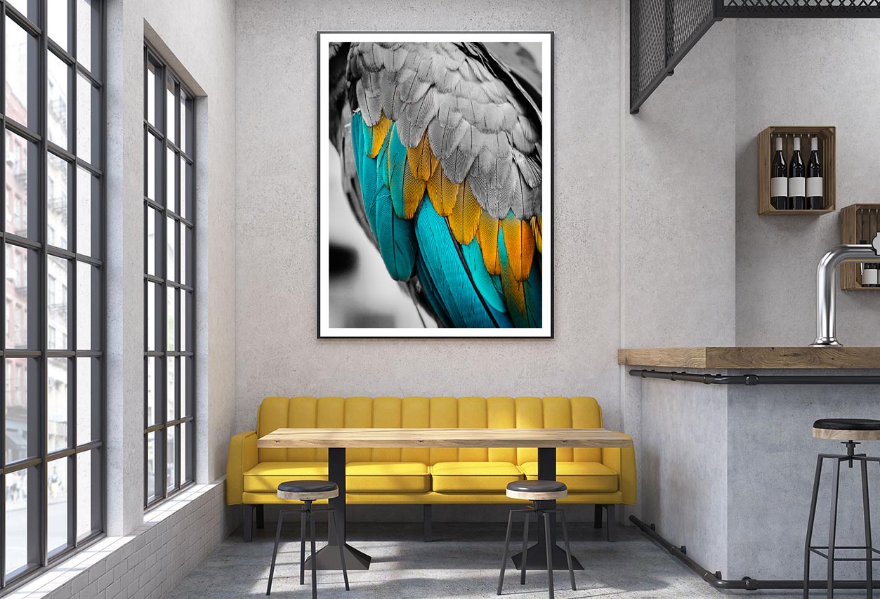 Close-Up Feather Design Home Decor Premium Quality Poster Print Choose Your Sizes