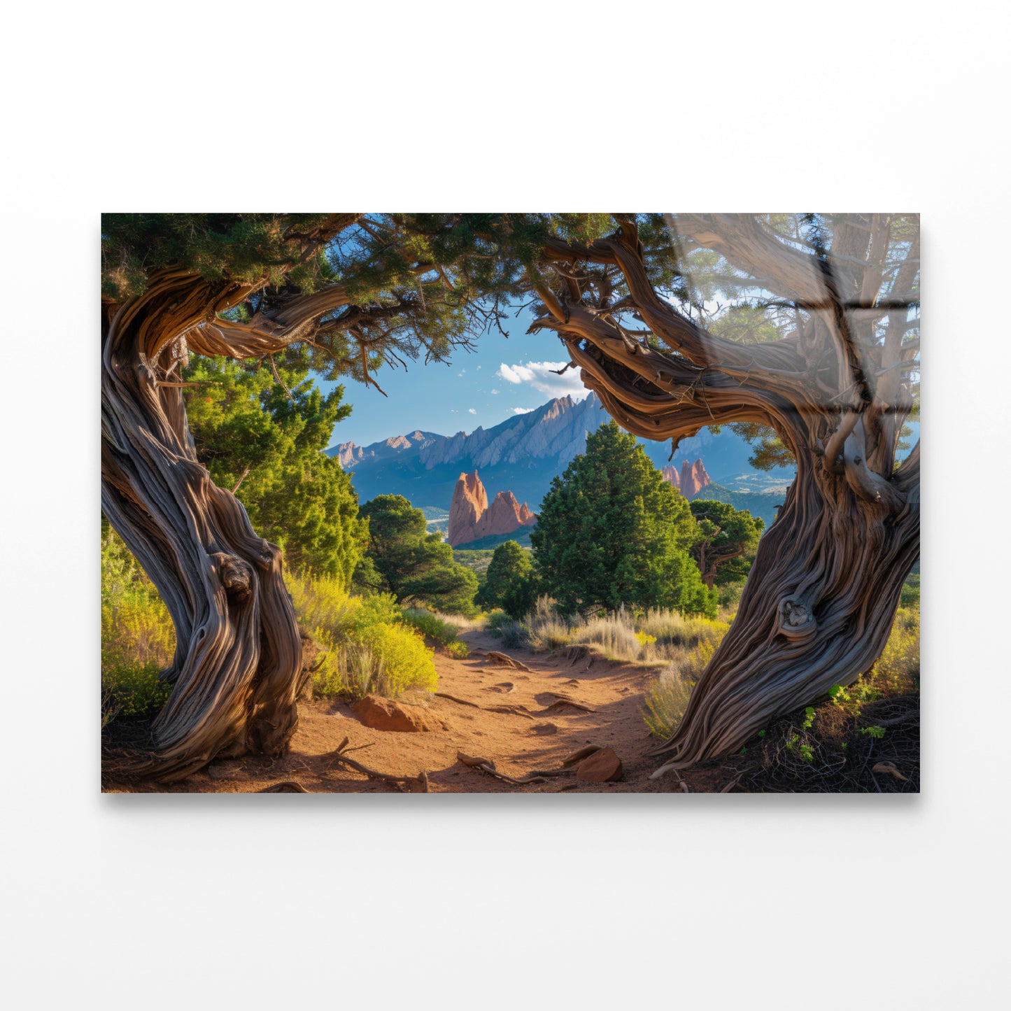 Trees with Mountains Acrylic Glass Print Tempered Glass Wall Art 100% Made in Australia Ready to Hang