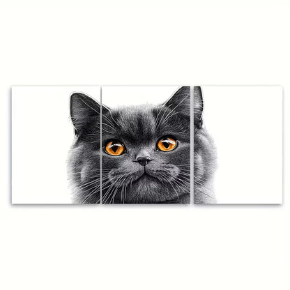 3pcs British Shorthair Cat Illustration Metal Print Ready to Hang Art