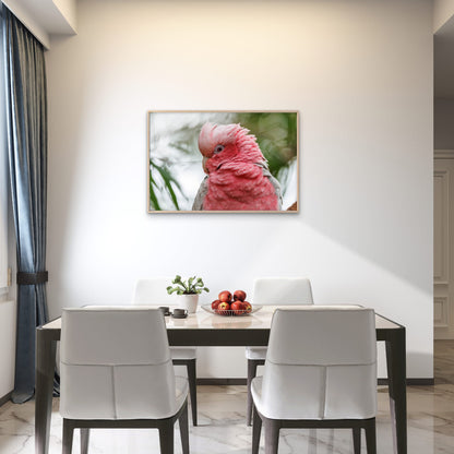 Galah Cockatoo Western Australia Wall Art Decor 100% Australian Made