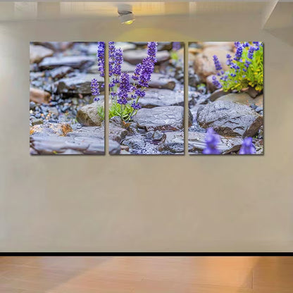 3pcs Sun-Drenched Meadow with Rocks Wall Art Set Canvas Framed 40x60cm - High Quality Print 100% Australian Made Wall Canvas Ready to Hang