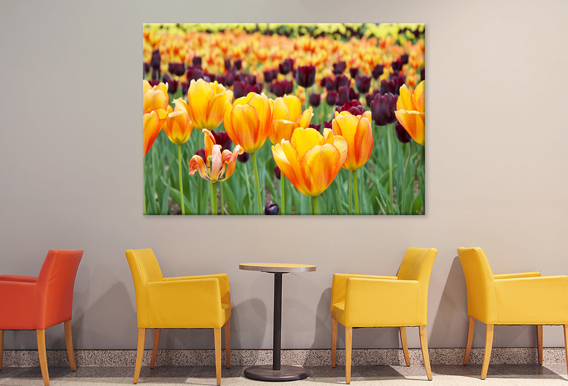 Flowers in Hot Springs Arkansas Wall Art Decor 100% Australian Made