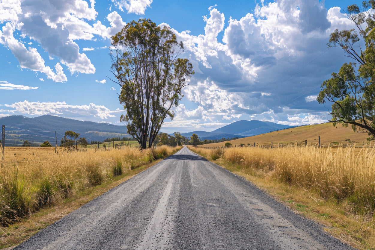 Road with Trees, Sky & Mountains Home Decor Premium Quality Poster Print Choose Your Sizes